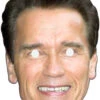 Arnold Schwarzenegger Celebrity Mask -Lifesizecutouts arnold schwarzenegger 803
