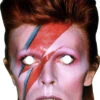 David Bowie Celebrity Mask