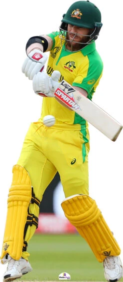 David Warner 108 Celebrity Cutout