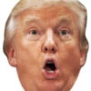 Donald Trump 002 Big Head Cutout -Lifesizecutouts donald trump 002 bh