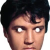 Elvis Presley 319 Celebrity Mask