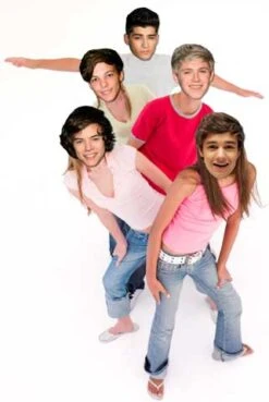 One Direction Celebrity Face Masks - Set Of 5