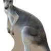 Kangaroo 876 Cardboard Cutout -Lifesizecutouts kangaroo cutout 876 1200mm