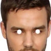 Liam Payne 988 Celebrity Mask -Lifesizecutouts liam payne 988 mask ref