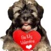 Puppy "Be My Valentine" Cutout -Lifesizecutouts puppy be my valentine