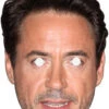 Robert Downey Jnr 792 Celebrity Mask -Lifesizecutouts robert downey jnr 792