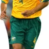 Tim Cahill 890 Celebrity Cutout -Lifesizecutouts tim cahill 890 cutout ref