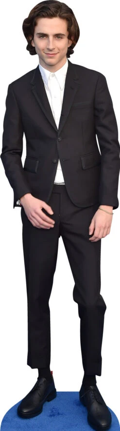 Timothee Chalamet 022 Celebrity Cutout